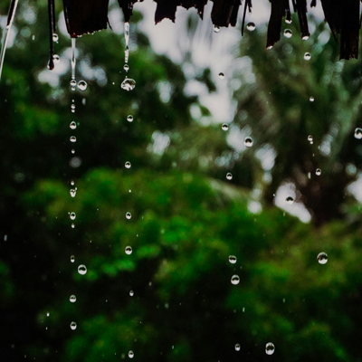 photo of leaf with droplets of water by Jasper Wilde for Unsplash.